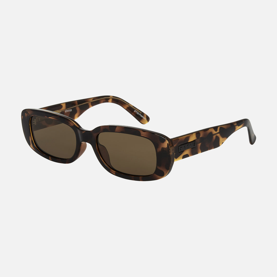 27723_Status_Dark_Tort_Brown_ecomimage_iso.jpeg