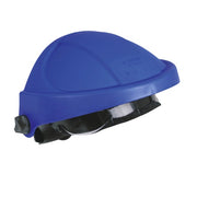 Browguard with Ratchet Harness